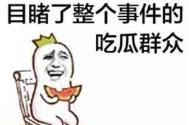 吃瓜群众在七零 穿书