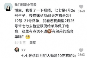 娱乐吃瓜君和七七对线